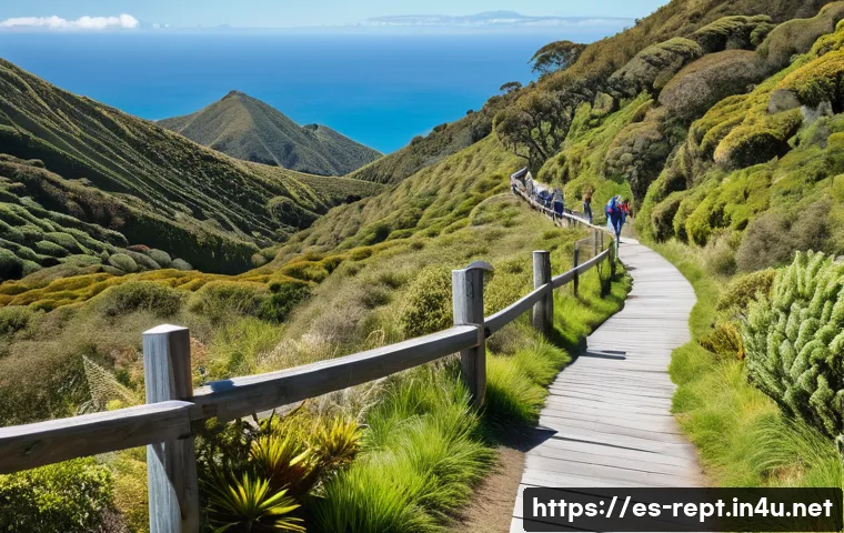 독사가 없는 나라 - A serene hiking trail in New Zealand’s temperate oceanic climate, showing a diverse lush forest with...