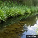 Home 20 양서류 산란지 설계 - A serene natural amphibian habitat near a clear, gently flowing stream in a Spanish countryside sett...