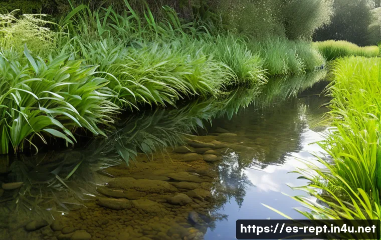 양서류 산란지 설계 - A serene natural amphibian habitat near a clear, gently flowing stream in a Spanish countryside sett...