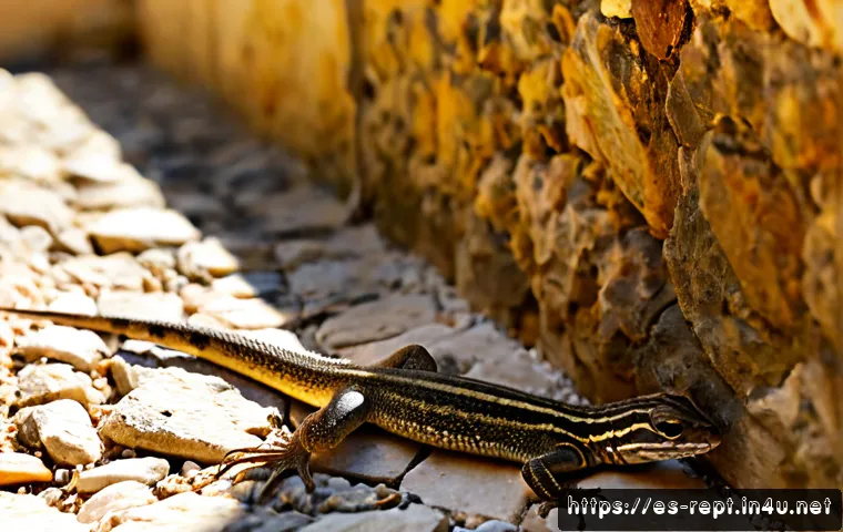 도마뱀의 꼬리 재생 원리 - Photorealistic macro wildlife scene of a small Mediterranean wall lizard with an intact long tail be...